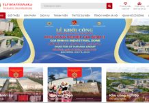 Thăng Long Wine and Hanaka Stripped of Public Company Status