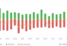 Vietstock Daily 19/09/2025: Market Volatility Persists – Can Stability Be Regained?