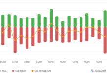 Vietstock Daily 23/09/2025: Losing the Support Level
