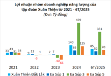 How Did Xuan Thien Corporation’s Energy Business Group Perform in the First Half of the Year?