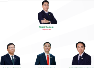 CC1 Reappoints Deputy General Director, Seeks to Divest 60% Stake in Hai Phong Coastal Road Investment Company