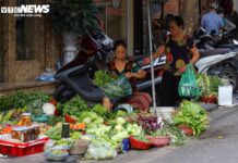Unbelievable Prices on Fresh Greens: Supermarkets Stockpile Supplies to Battle Typhoon Bualoi