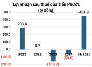 “Debt Surpasses VND 10.1 Trillion: Tien Phuoc Group Reports Profit of Nearly VND 452 Billion in First Half of Year.”