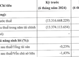 Sunshine Marina Nha Trang Embraces $129 Million in Investments, Yet Sustains Losses of Over $1 Million