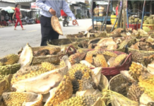 From Discarded Shells to Open-Air Goldmines: How Environmental Hazards Transformed into Treasure