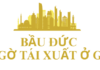 The Comeback Kings: Bầu Đức’s Surprise Return to Gia Lai and Lê Phước Vũ’s Ambitious 600-700 Ha Township Project in Long Thành