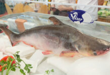 Captivating Global Audiences with Billion-Dollar Fish Exports: Are We Neglecting the Domestic Market?