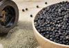 Black Pepper Prices on September 7th: Stable Prices, Lowest at VND 151,000/kg
