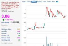 The Green Rush: Bamboo Capital Stocks Soar, Attracting Investors