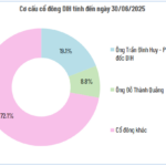 “DIH Finalizes Cash Dividend with a 15% Ratio”