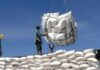 India Tightens Rice Export Restrictions