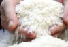 Thai Rice Export Prices Plummet to Near 9-Year Low