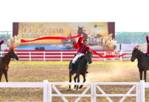 Where to Bet on Horse Racing in Vietnam: Exploring the Country’s Top Racetracks