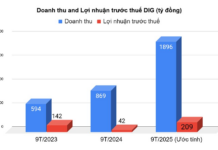 DIC Corp (DIG) Reports 5x Profit Surge in 9 Months, Yet Only 29% of Target Met, Teasing a Deal Yielding VND 748 Billion in Gross Profit