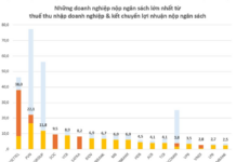 Viettel: Forging Ahead with Record-Breaking Contributions to the National Coffers
Let me know if you would like me to tweak this title or provide additional suggestions.