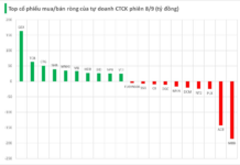 The Big Spenders: Unraveling the Trading Strategies of Vietnam’s Securities Companies During Market Downturns