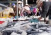 U.S. Urged to Objectively Review Seafood Trade by Vietnam’s Minister of Industry and Trade