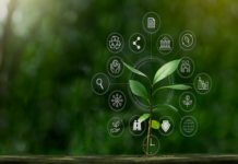 The Green Initiative: Four Vietnamese Banks Embrace the Green Trade Union