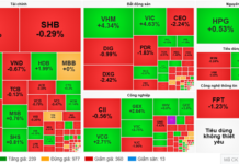 Market Pulse 29/09: VIC and VHM Lead the Index, Foreign Investors Offload SSI