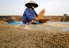 Vietnam’s Rice Export Surge: Key Markets Targeted Amid Philippines’ Import Suspension