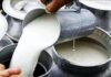 Dawn Raid Exposes Counterfeit Milk Ring: Police Seize Industrial Mixing Tools and Plastic Bags from Filthy Production Site