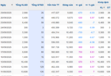 What Does PMG Say After Establishing the “Christmas Tree” Pattern?