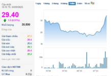 The Stock ‘Soars’ Post 40% Dividend Split: Share Price Hits Highest Peak in Over a Year