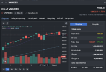 Stock Market Peaks: A Short-Term High – What’s the Investor’s Strategy for the Week Ahead?