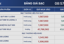 Silver Prices Retreat After Hitting Fresh Highs