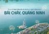 Ha Long Bay’s Bãi Cháy: Quang Ninh’s Tourism and Investment Hub