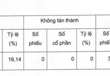 Sacombank Shareholders Reject Proposed Amendment to Legal Representative Clause in Bank’s Charter