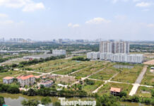 Which Real Estate Sector is Experiencing the Most Significant Price Surge?