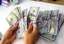 Why is Vietnam’s Exchange Rate Rising Despite the Global USD Depreciation?