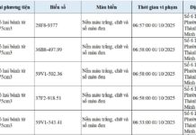 294 Vehicle Owners with License Plates Listed for Wrong-Way Driving, Sidewalk Violations Urged to Pay Fines Under Decree 168