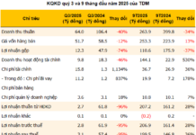 Record-Low Quarterly Profit for TDM as Financial Costs Surge Over 1,100%