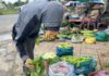 Soaring Prices of Vegetables in the Western Agricultural and Aquatic Region