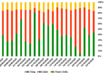 October 24, 2025: VIC and VHM Warrants Shine in Today’s Market