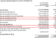 Viglacera’s Q3 Profits Plummet 55% Amid Severe Storm Impact