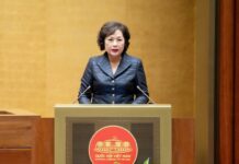 Optimizing Depositor Protection and Ensuring Financial System Stability