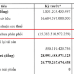 Hyosung Chemical Plant in Cai Mep Accumulates Losses Exceeding 19,000 Billion VND