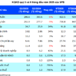 Phú Bài Fiber Swings to Profit, Q3 Earnings Hit Record High