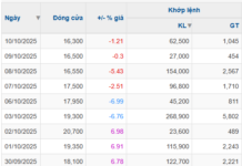 VMD Stock Trading Suspended: Ongoing Violations and Internal Turmoil Persist