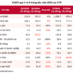 Financial Erosion: STK’s Q3 Net Profit Plunges 87% Despite Record Gross Margin