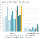 Vietnam’s Largest Listed Employer Unveils Q3 Earnings: Profit Doubles, Total Assets Hit $3.6B with $1B in Cash Reserves