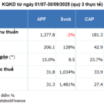 Cassava Starch Industry Rebounds: Apfco and Yfatuf Report Extraordinary Profit Surges