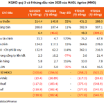 HAGL Agrico Posts Hundreds of Billions in Losses Despite Strong Rubber and Fruit Sales