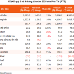 PhĂş TĂ i Records Highest Profit in 3 Years, Driven by Strong Growth in Wood and Stone Exports
