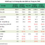 Trung An Breaks Five-Quarter Loss Streak, Yet Borrowing Costs Remain a Tight Squeeze