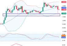 October 2025 Cryptocurrency Report (Part 2): Will the Recovery Trend Continue?
