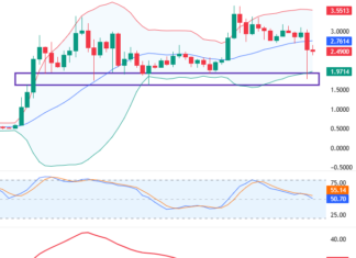 October 2025 Cryptocurrency Report (Part 2): Will the Recovery Trend Continue?
